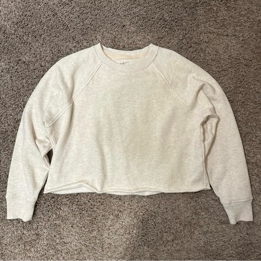Aerie Crewneck Sweatshirt
